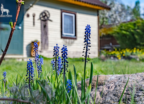 Parduodamas kitos paskirties sklypas Dovanų 14-oji g., Ąžuolinės k., Vilniaus r. sav., 6.2 a ploto