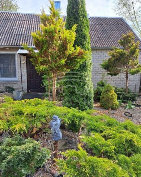 Parduodamas namas Salantų m., Kretingos r. sav., 110 m2 ploto, 2 aukštai 4