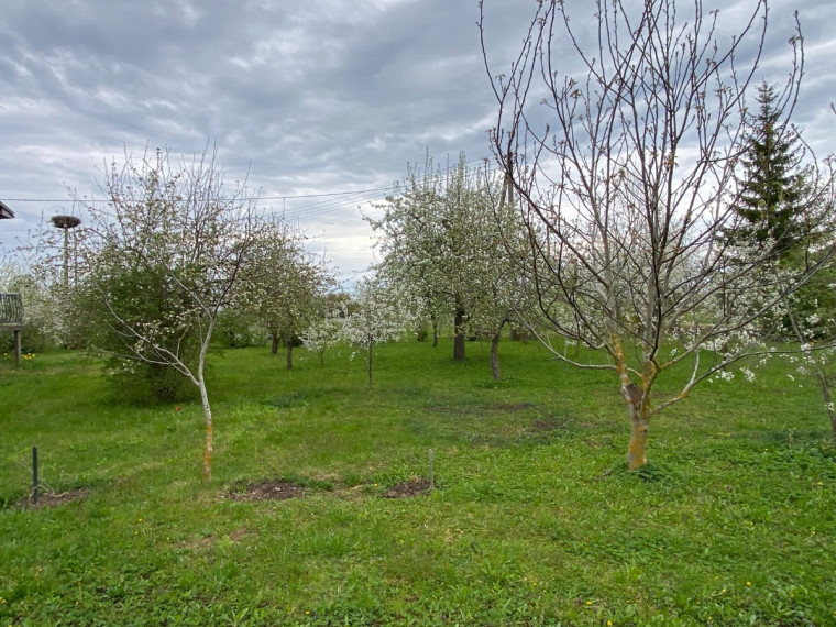 Parduodamas namas Bokšto g., Butkiškės k., Raseinių r. sav., 258.42 m2 ploto, 2 aukštai 5