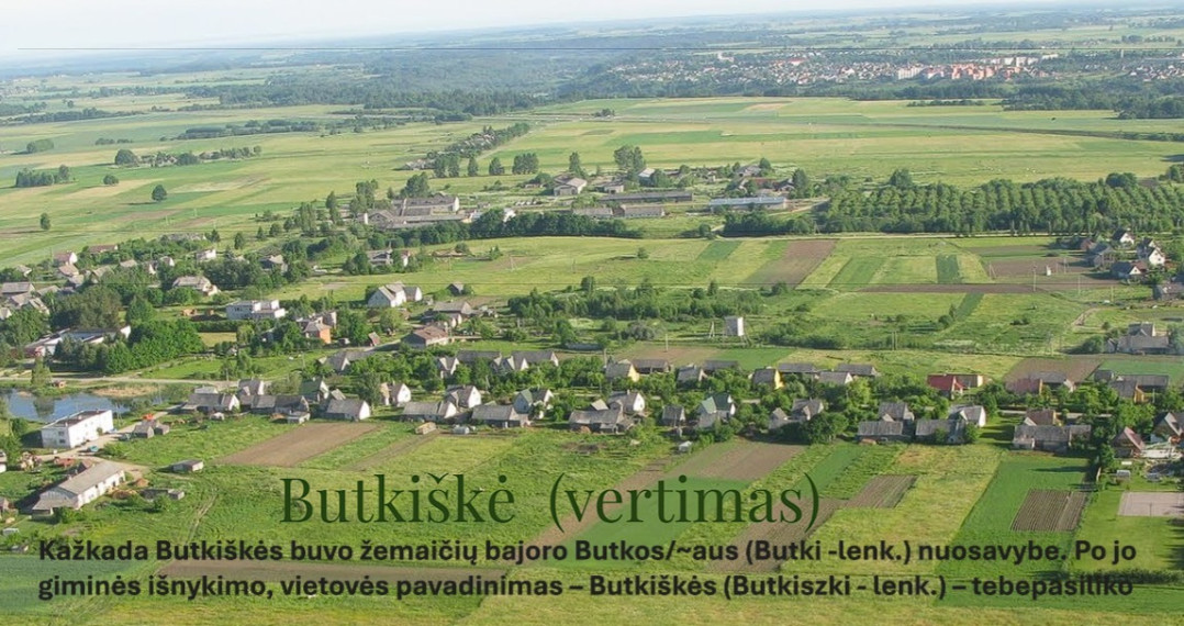 Parduodamas namas Bokšto g., Butkiškės k., Raseinių r. sav., 258.42 m2 ploto, 2 aukštai 46