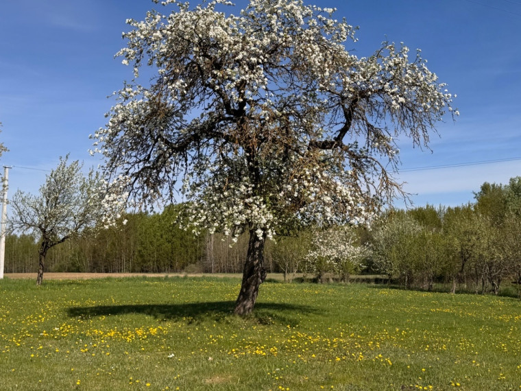 Parduodamas namas Tiesioji g., Kairiškių k., Kaišiadorių r. sav., 98.17 m2 ploto, 2 aukštai 13