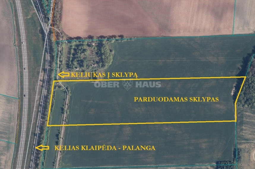 Parduodamas žemės ūkio paskirties sklypas Peskojų k., Klaipėdos r. sav., 499 a ploto 1