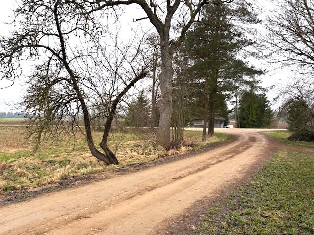Parduodamas butas Kazliškėlio k., Rokiškio r. sav., 37.79 m² ploto 2 kambariai 15