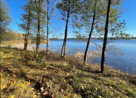 Parduodamas namas Salako mstl., Zarasų r. sav., 700.00 m² ploto 10 kambarių