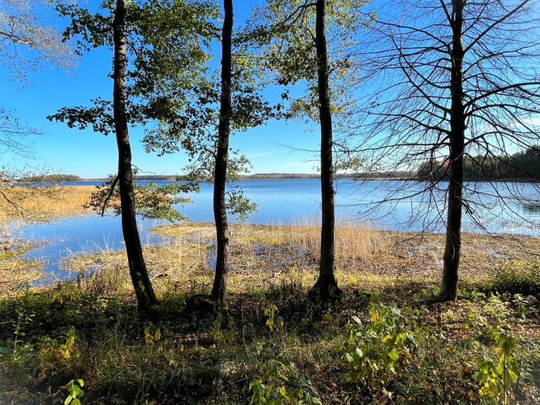 Parduodamas namas Salako mstl., Zarasų r. sav., 700.00 m² ploto 10 kambarių 17