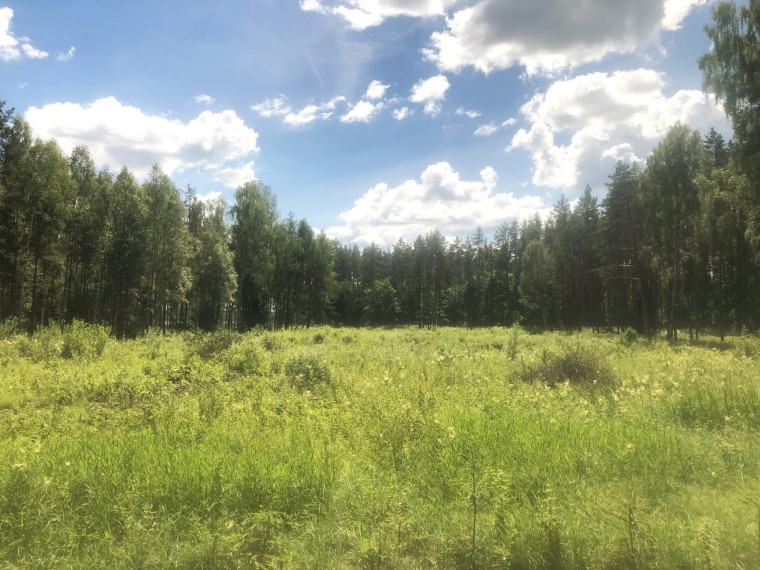 Parduodamas namas Salako mstl., Zarasų r. sav., 700.00 m² ploto 10 kambarių 9