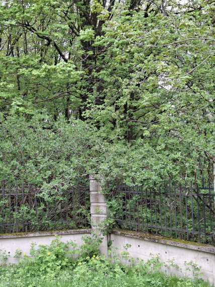 Parduodamas namas Tolimosios Sodų g., Pavilnys, Vilniaus m., Vilniaus m. sav., 105 m² ploto 3 kambariai 4