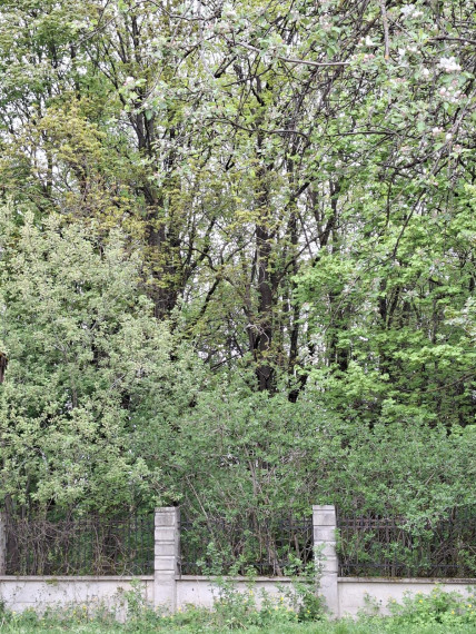 Parduodamas namas Tolimosios Sodų g., Pavilnys, Vilniaus m., Vilniaus m. sav., 105 m² ploto 3 kambariai 6