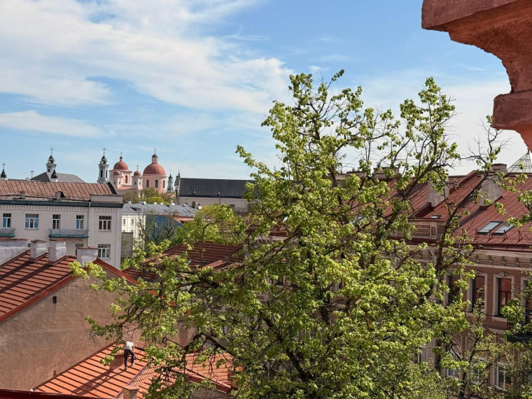 Parduodamas butas Gėlių g., Senamiestis, Vilniaus m., Vilniaus m. sav., 27.72 m² ploto 1 kambarys 8