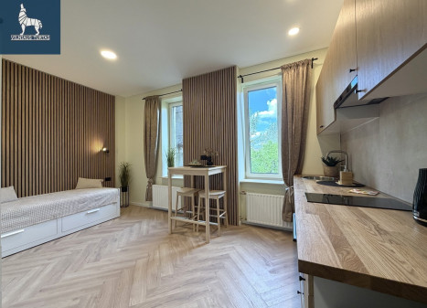 Nuomojamas butas Švitrigailos g., Naujamiestis, Vilniaus m., Vilniaus m. sav., 25 m2 ploto, 1 kambariai Nuomojamas butas Švitrigailos g., Naujamiestis, Vilniaus m., Vilniaus m. sav., 25 m2 ploto, 1 kambariai