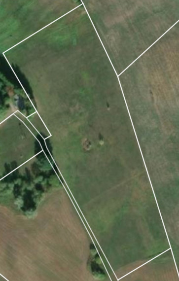Parduodamas  sklypas Graužų k., Lazdijų r. sav., 237 a ploto 4