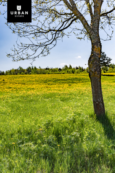 Parduodamas sklypas Šiaudinės g., Mikutiškių k., 13.98 a ploto 9