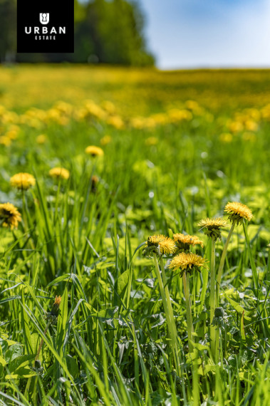 Parduodamas sklypas Šiaudinės g., Mikutiškių k., 13.98 a ploto 12