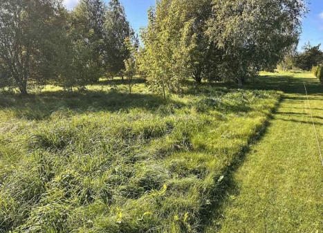 Parduodamas namų valdos paskirties sklypas J. Janulionio g., Rokiškio m., Rokiškio r. sav., 20 a ploto Parduodamas namų valdos paskirties sklypas J. Janulionio g., Rokiškio m., Rokiškio r. sav., 20 a ploto