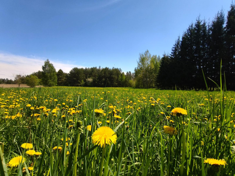 Parduodamas namas Gylių g., Gylių k., Anykščių r. sav., 70.00 m² ploto 3 kambariai 16
