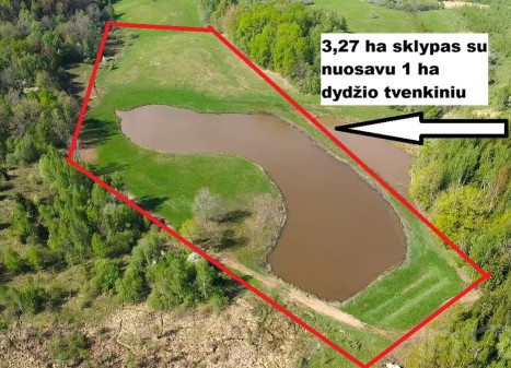 Parduodamas sklypas su nuosavu 1 ha ploto tvenkiniu Utenos raj., Stanėnų k