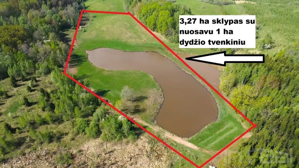 Parduodamas sklypas su nuosavu 1 ha ploto tvenkiniu Utenos raj., Stanėnų k 1