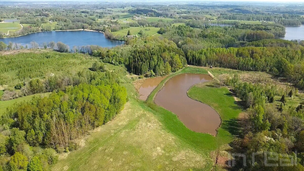 Parduodamas sklypas su nuosavu 1 ha ploto tvenkiniu Utenos raj., Stanėnų k 3