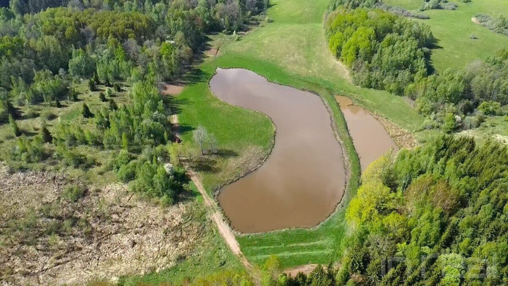 Parduodamas sklypas su nuosavu 1 ha ploto tvenkiniu Utenos raj., Stanėnų k 7