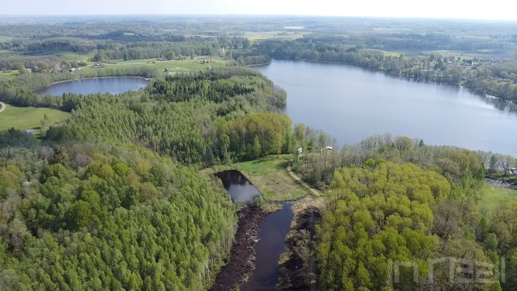 Parduodamas sklypas su nuosavu 1 ha ploto tvenkiniu Utenos raj., Stanėnų k 8