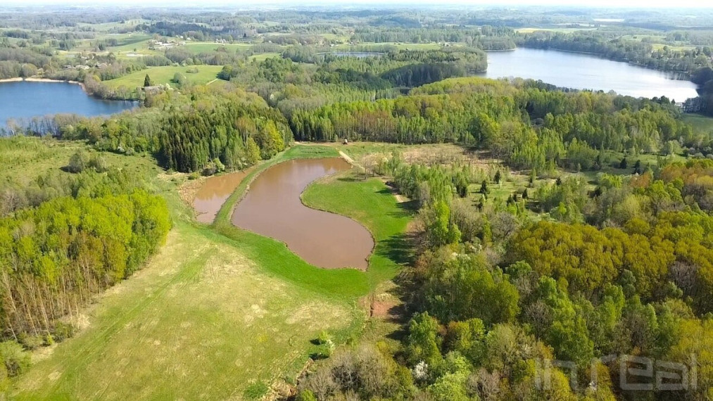 Parduodamas sklypas su nuosavu 1 ha ploto tvenkiniu Utenos raj., Stanėnų k 10