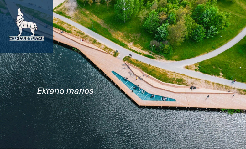 Parduodamas butas Beržų g., Žemaičiai, Panevėžio m., Panevėžio m. sav., 50 m2 ploto, 2 kambariai 13