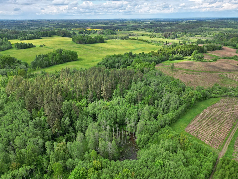 Parduodamas  sklypas Antadavainės k., Zarasų r. sav., 828 a ploto 3