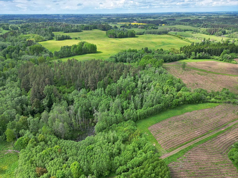 Parduodamas  sklypas Antadavainės k., Zarasų r. sav., 828 a ploto 6