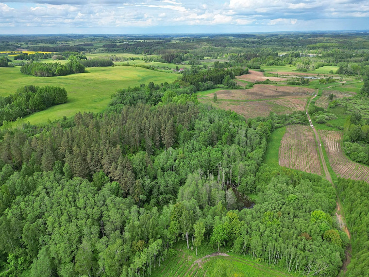 Parduodamas  sklypas Antadavainės k., Zarasų r. sav., 828 a ploto 7