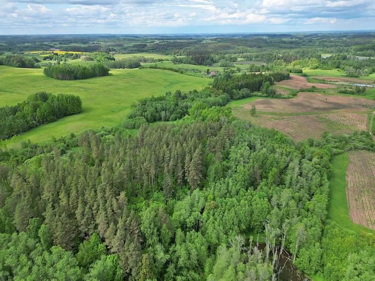 Parduodamas  sklypas Antadavainės k., Zarasų r. sav., 828 a ploto 8