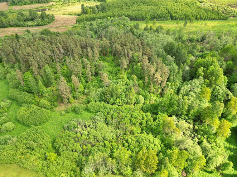 Parduodamas  sklypas Antadavainės k., Zarasų r. sav., 828 a ploto 10