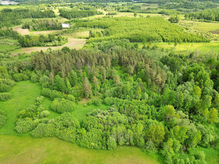 Parduodamas  sklypas Antadavainės k., Zarasų r. sav., 828 a ploto 11
