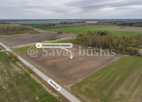 Parduodamas sklypas Šiaulių g., Beinoraičių k., Pakruojo r. sav., 241.34 a ploto Parduodamas sklypas Šiaulių g., Beinoraičių k., Pakruojo r. sav., 241.34 a ploto