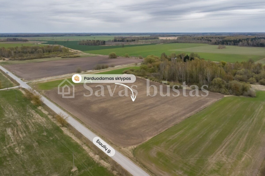 Parduodamas  sklypas Šiaulių g., Beinoraičių k., Pakruojo r. sav., 241.34 a ploto 1