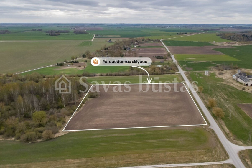 Parduodamas  sklypas Šiaulių g., Beinoraičių k., Pakruojo r. sav., 241.34 a ploto 2