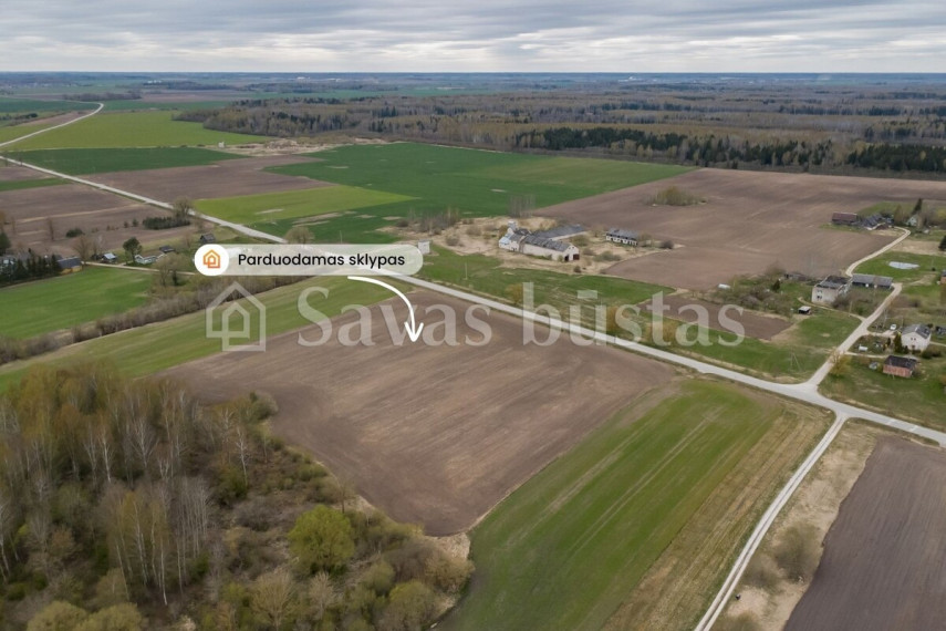 Parduodamas  sklypas Šiaulių g., Beinoraičių k., Pakruojo r. sav., 241.34 a ploto 4