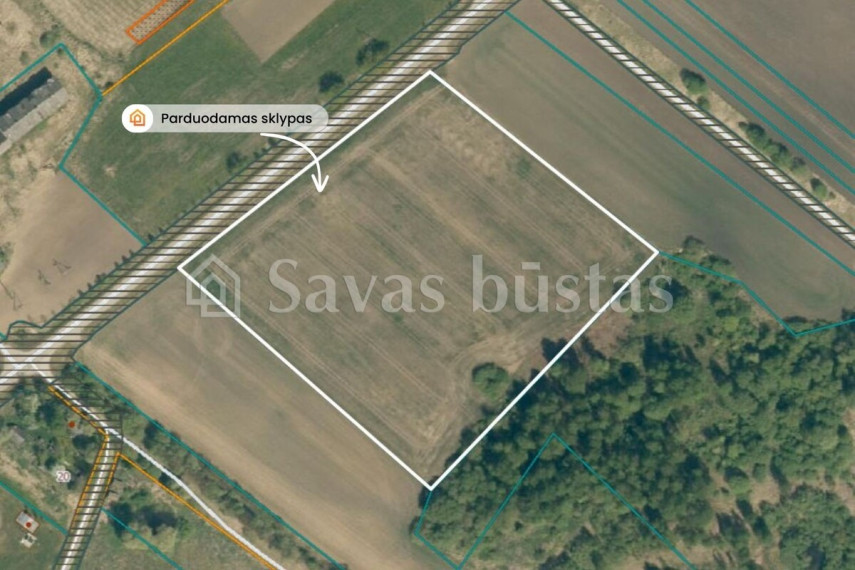 Parduodamas  sklypas Šiaulių g., Beinoraičių k., Pakruojo r. sav., 241.34 a ploto 5