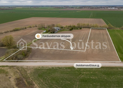 Parduodamas  sklypas Gaidamavičiaus g., Sereikių k., Šiaulių r. sav., 104.51 a ploto