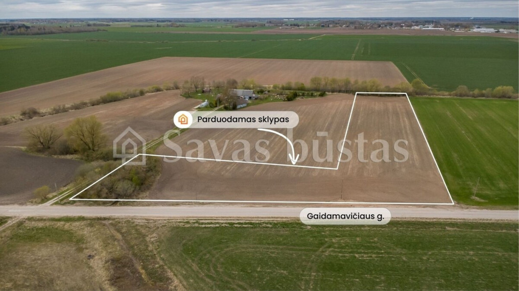 Parduodamas  sklypas Gaidamavičiaus g., Sereikių k., Šiaulių r. sav., 104.51 a ploto 1