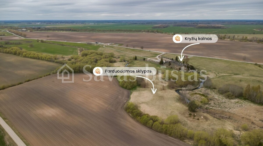 Parduodamas  sklypas Domantų k., Šiaulių r. sav., 297.85 a ploto 1