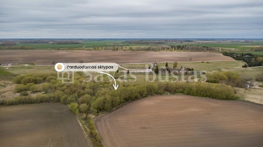 Parduodamas  sklypas Domantų k., Šiaulių r. sav., 297.85 a ploto 4
