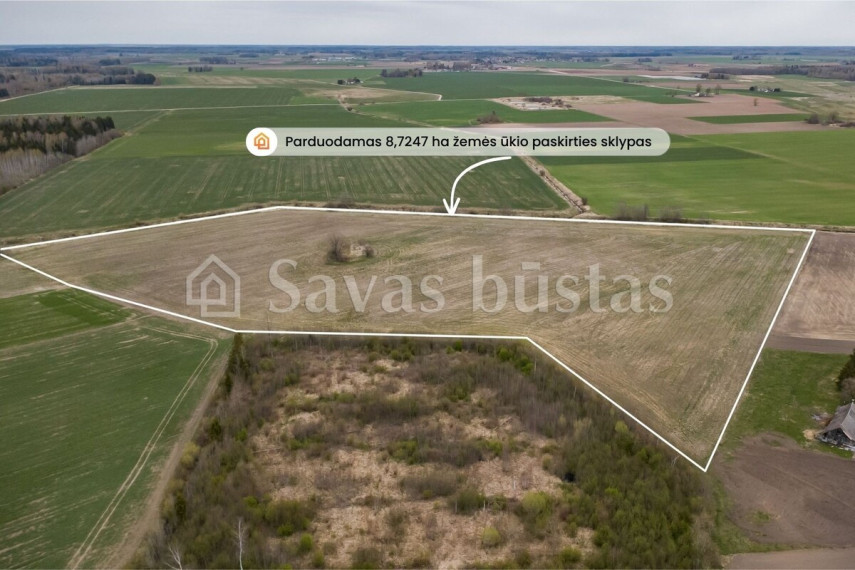Parduodamas  sklypas Amalių k., Šiaulių r. sav., 1099.3 a ploto 3