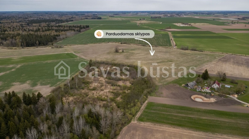 Parduodamas  sklypas Amalių k., Šiaulių r. sav., 1099.3 a ploto 4
