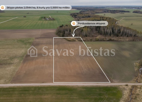 Parduodamas sklypas Minelgių k., Pakruojo r. sav., 209.44 a ploto Parduodamas sklypas Minelgių k., Pakruojo r. sav., 209.44 a ploto