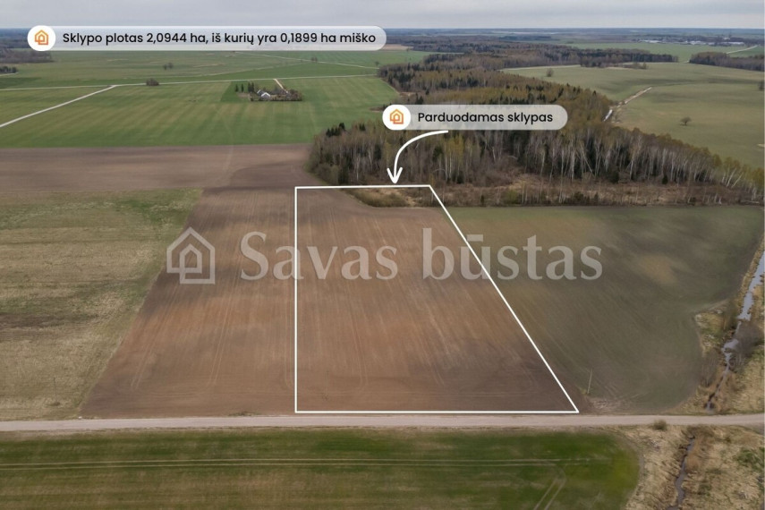Parduodamas  sklypas Minelgių k., Pakruojo r. sav., 209.44 a ploto 1