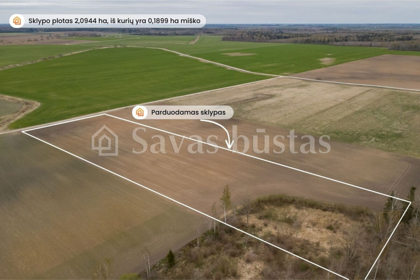 Parduodamas  sklypas Minelgių k., Pakruojo r. sav., 209.44 a ploto 2
