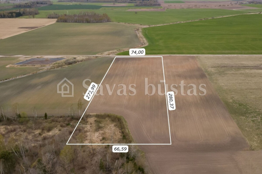 Parduodamas  sklypas Minelgių k., Pakruojo r. sav., 209.44 a ploto 3