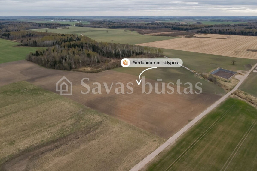Parduodamas  sklypas Minelgių k., Pakruojo r. sav., 209.44 a ploto 5