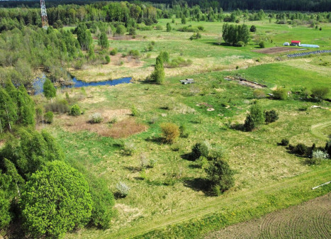 Parduodamas sklypas Pievų g., Lukošiškių k., Jonavos r. sav., 43.39 a ploto