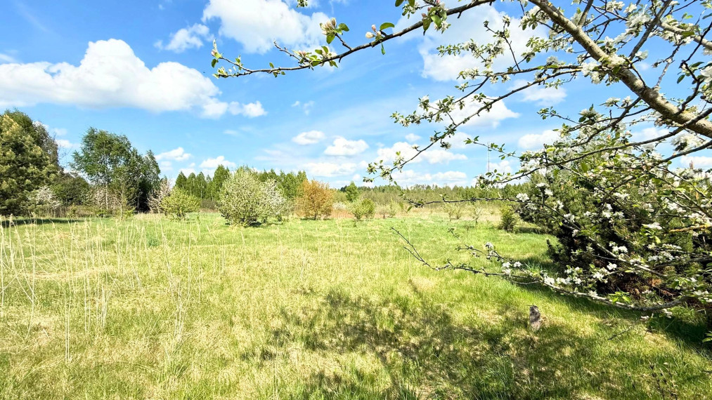 Parduodamas sklypas Pievų g., Lukošiškių k., Jonavos r. sav., 43.39 a ploto 4